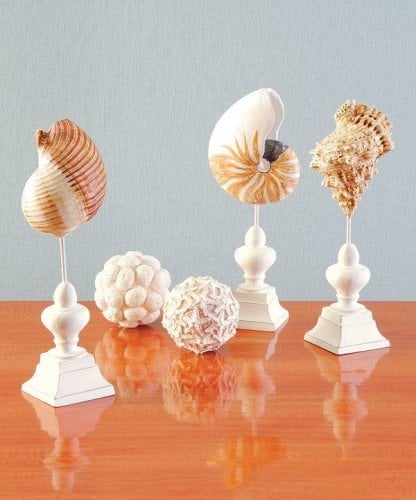 zulily beach decor