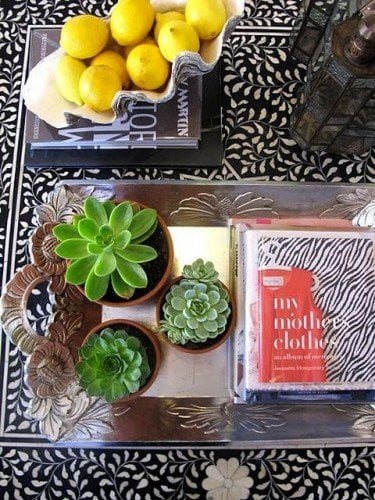 decorative tray with cactus and books