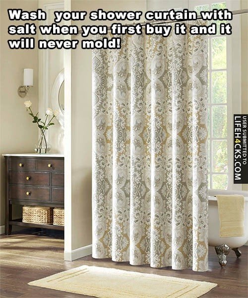 Mold Removal How Do You Get Rid of Black Mold Decorated Life