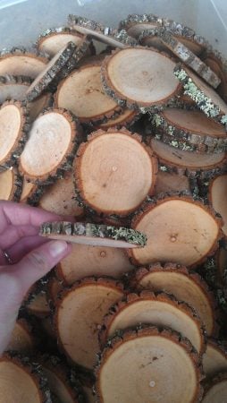 Sourwood Tree Logs