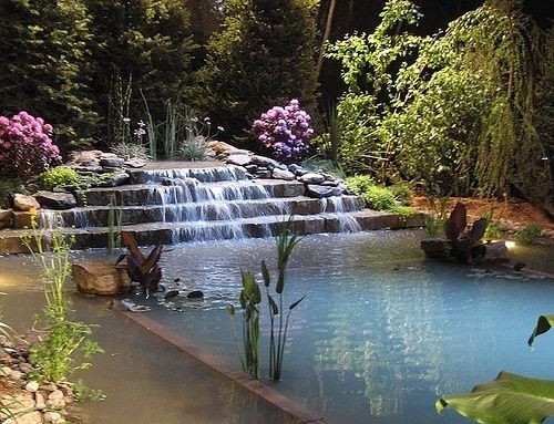 natural pool design