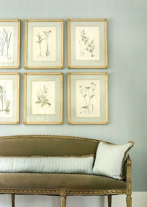Botanical art framed with french matting by Liz Williams Interiors - Hadley Court