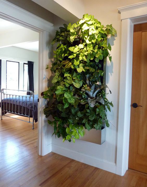 Living Wall