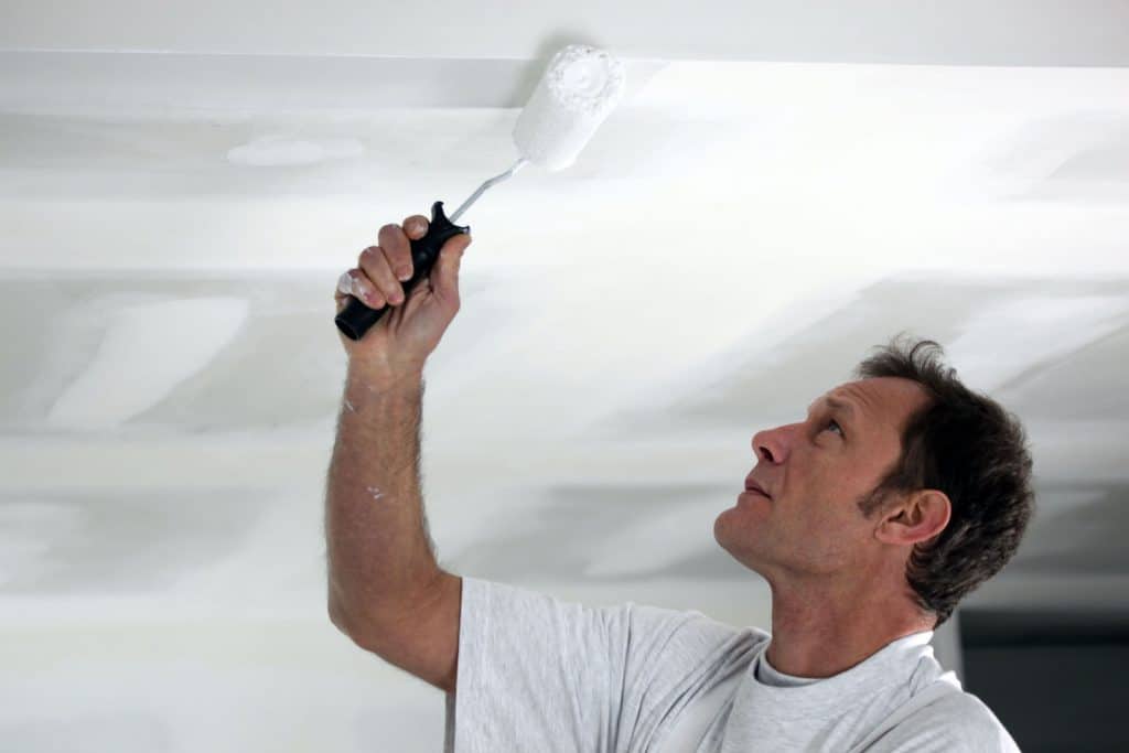 7 Best Ceiling Paints Of 2020 Reviews And Painting Tips