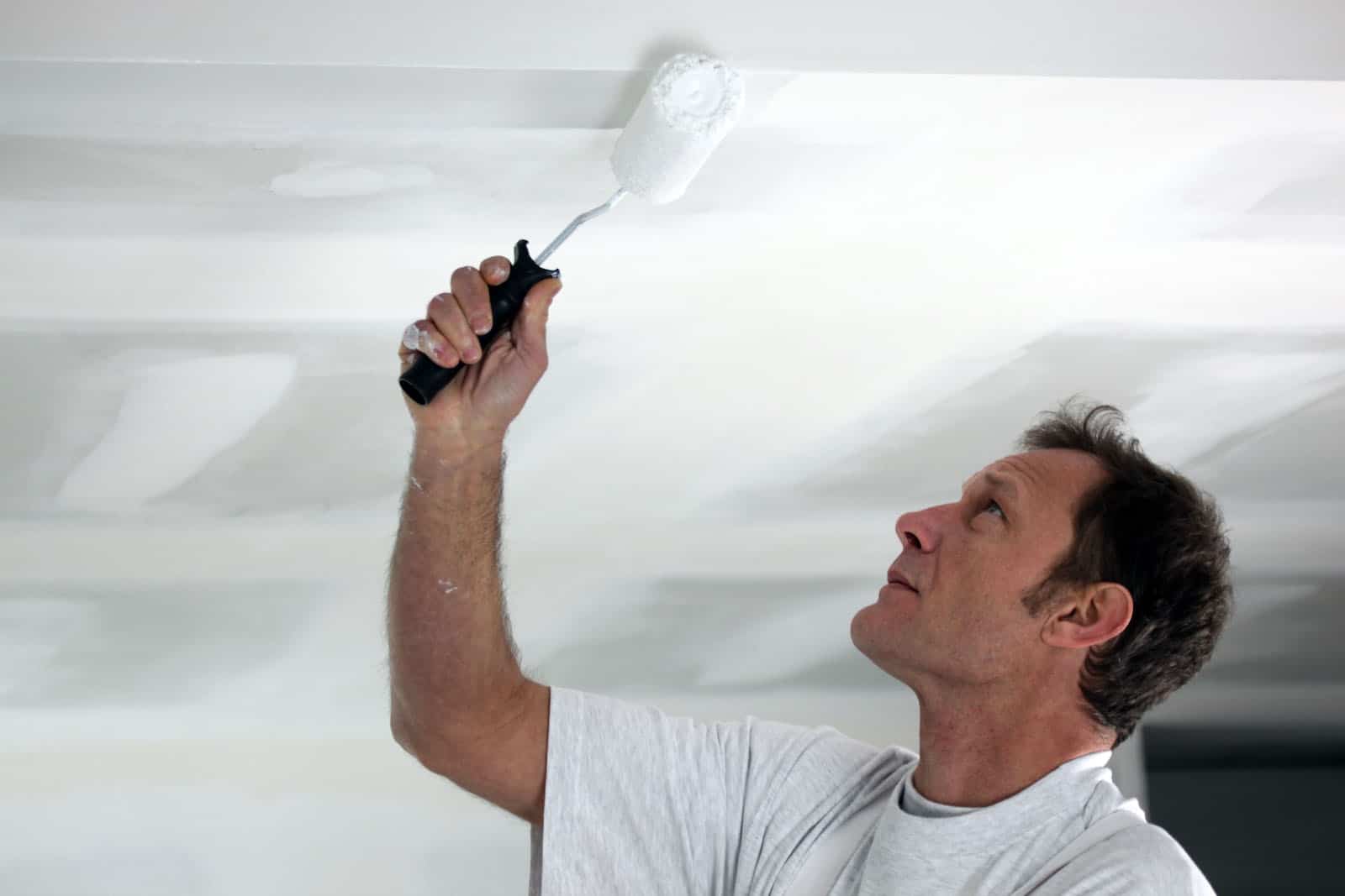 7 Best Ceiling Paints Of 2020 Reviews And Painting Tips