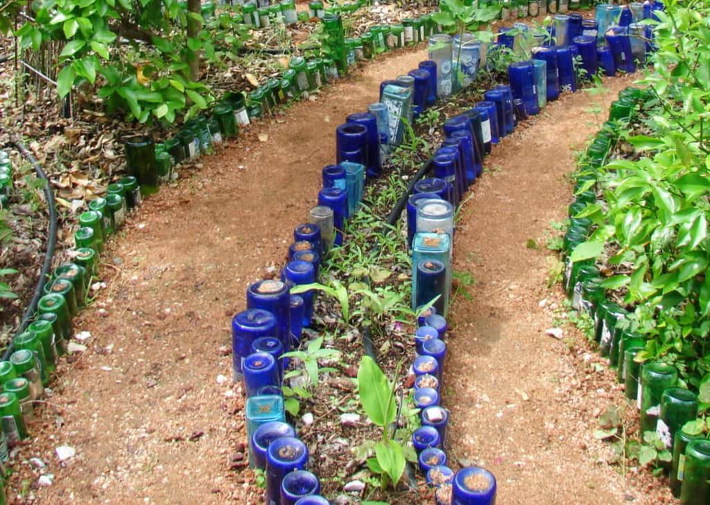 Recycled Bottles are Eco-Friendly and Unique