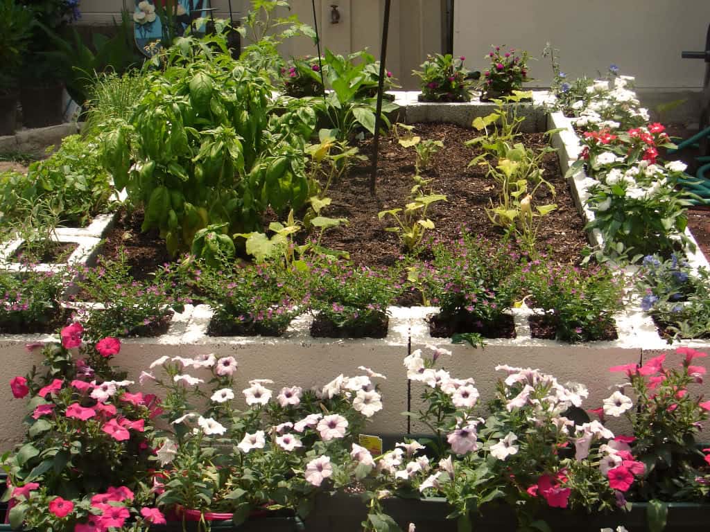 Use Cinder Blocks as Planters for Your Edging