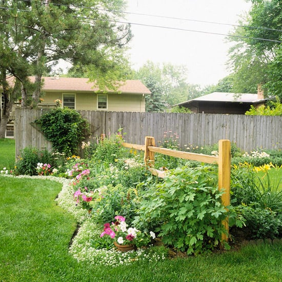 Low, Mounding Plants Make Perfect Borders