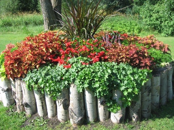 Stand Out with a Vertical Wood Log Border