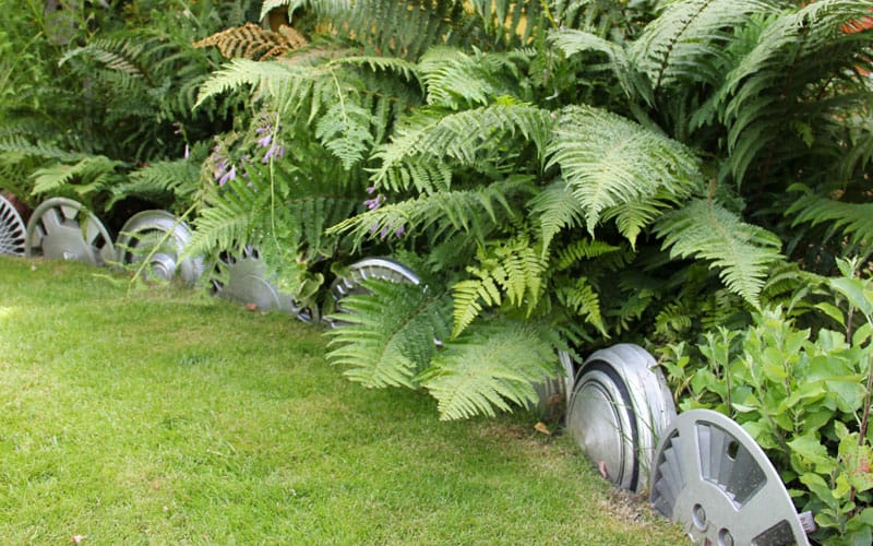 Line Up Recycled Hubcaps with Bigger Plants