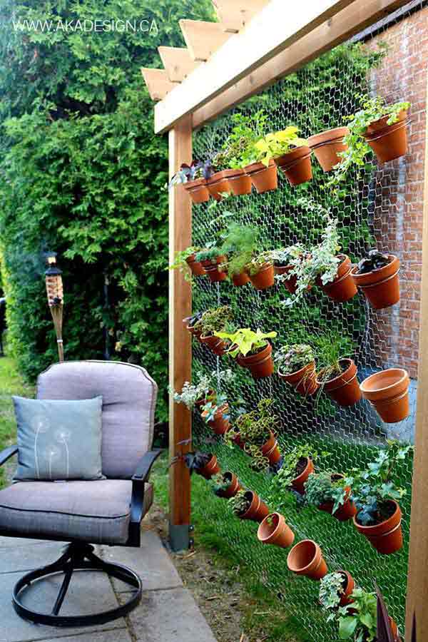 Add Chicken Wire and Plants to a Pergola