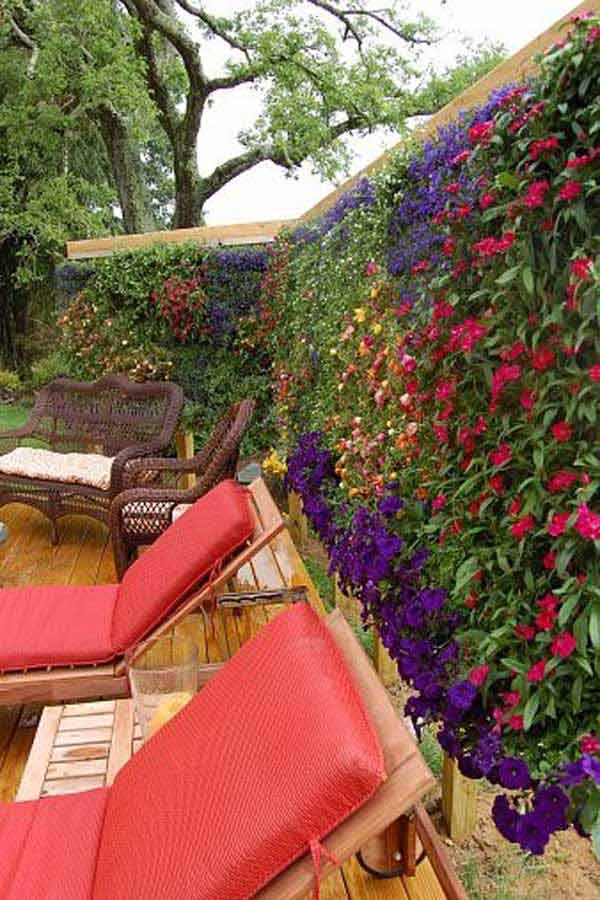 Create a Full Plant and Flower Privacy Wall