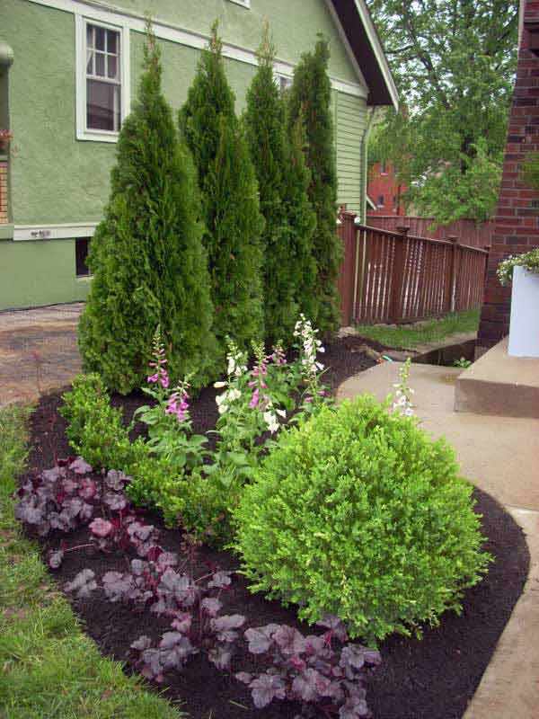Plant Evergreens for a Tall Shrubbery Wall