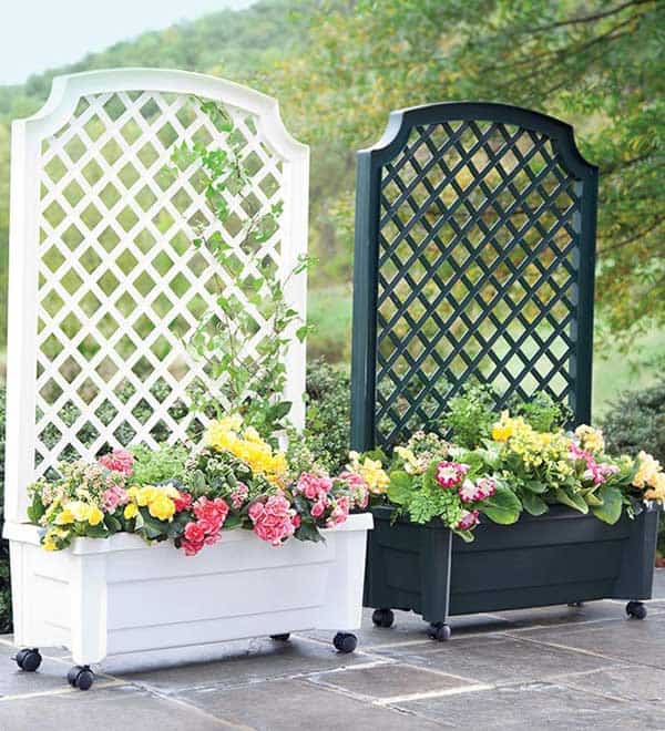 Buy a Planter With Trellis Attached