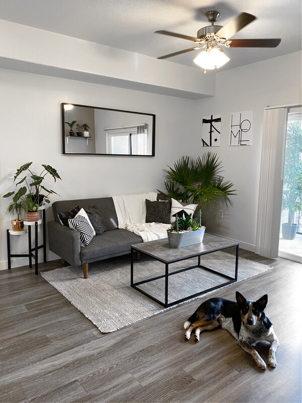 modern grey paint colors for living room