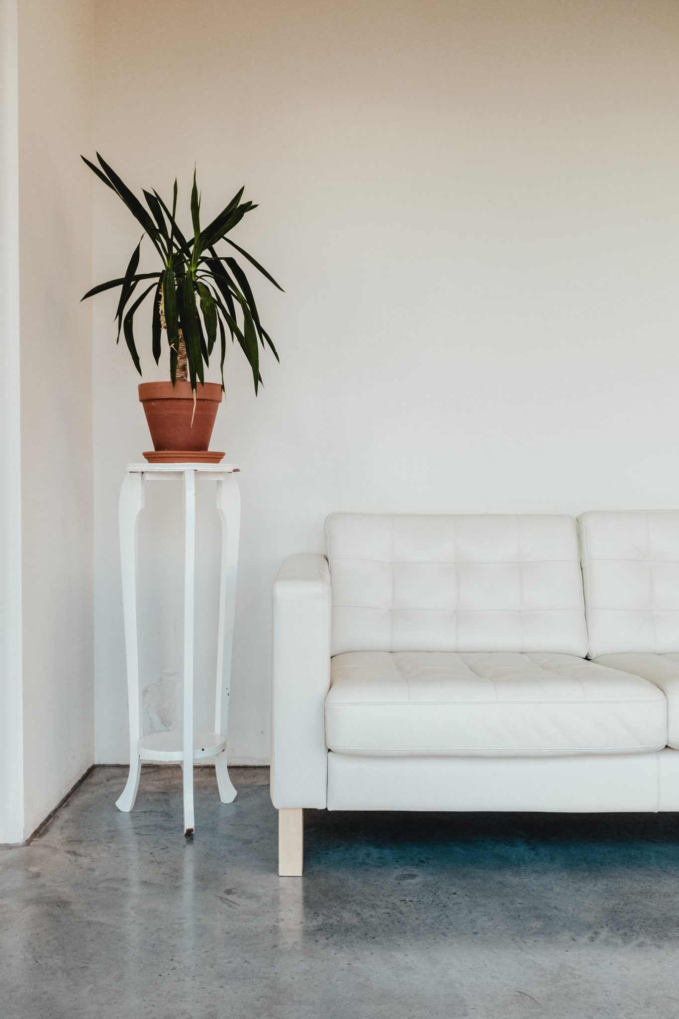 is-white-paint-still-the-best-wall-color-living-room-ideas