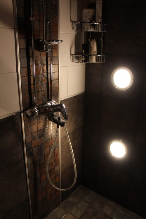 15 Great Ideas to Add Lighting to Your Shower