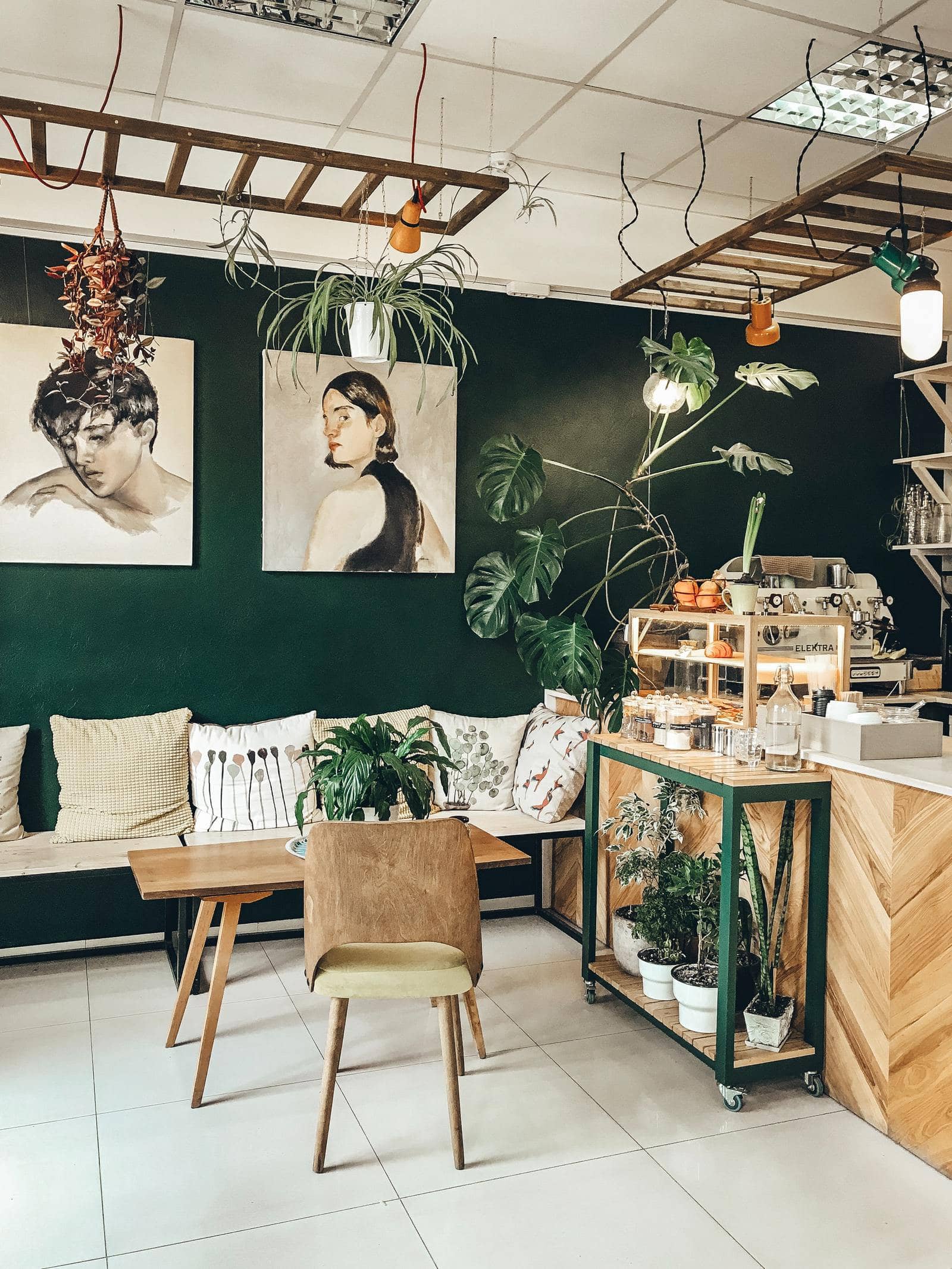 Turn Your Basement Ceiling Into a Plant Paradise