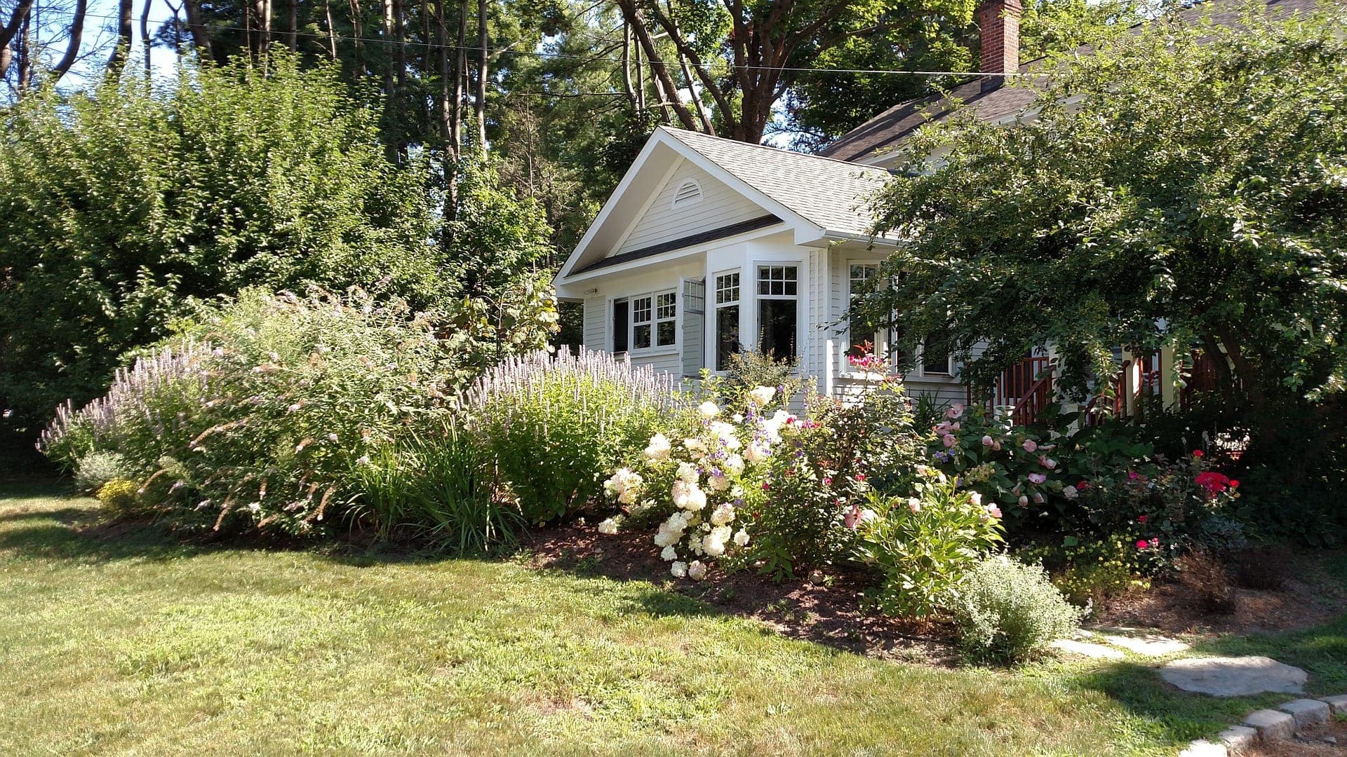 14 Mix and Match Bushes for a Unique Hedge Row