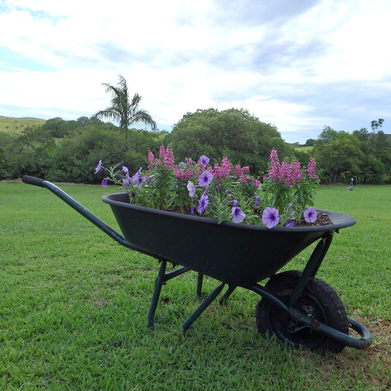 6 Install a Rustic Chic Wheelbarrow