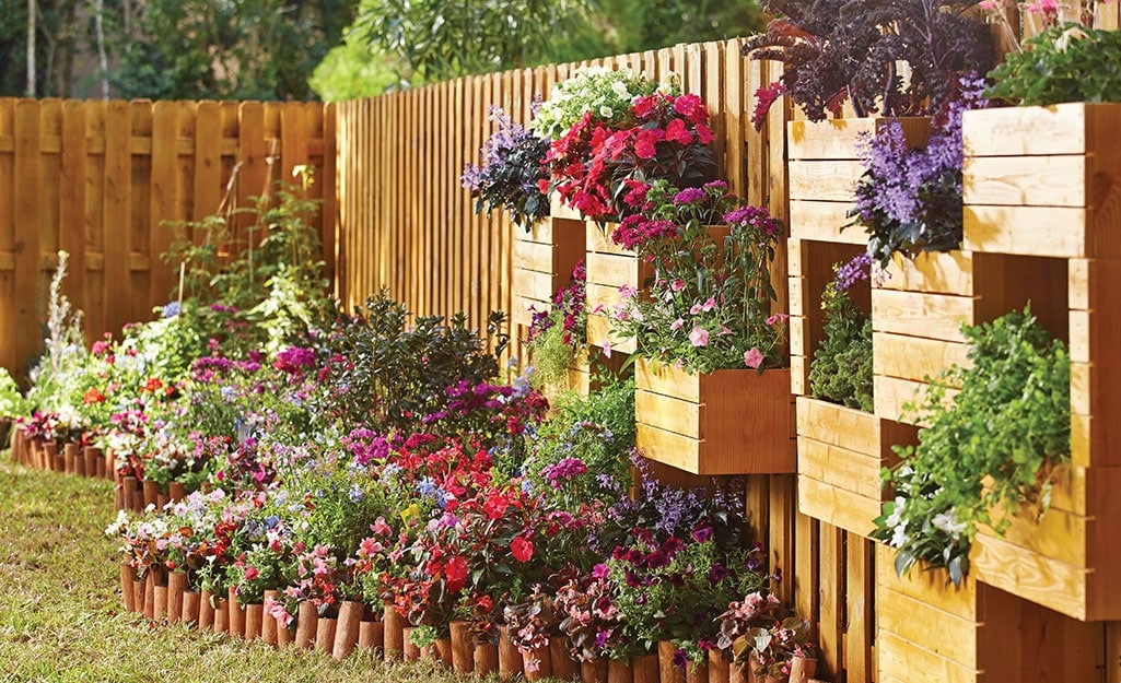 3 Turn Your Privacy Fence Into a Wall Garden