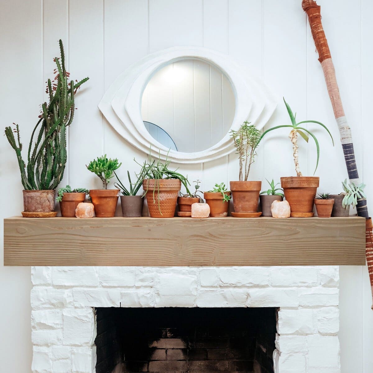 Decorate With Terracotta Potted Plants and Succulents 