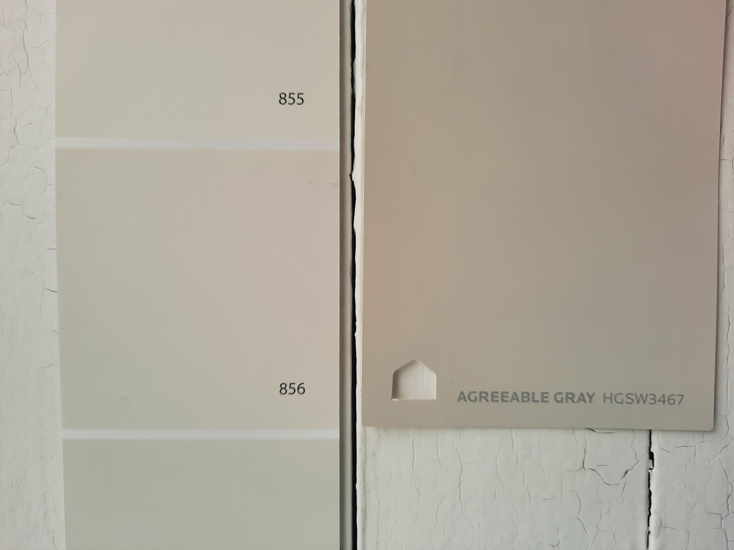 9 Silver Satin vs Agreeable Gray scaled