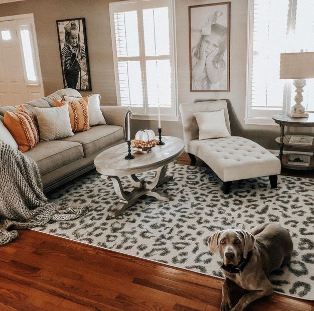 Give In to Your Animal Side with Printed Area Rugs