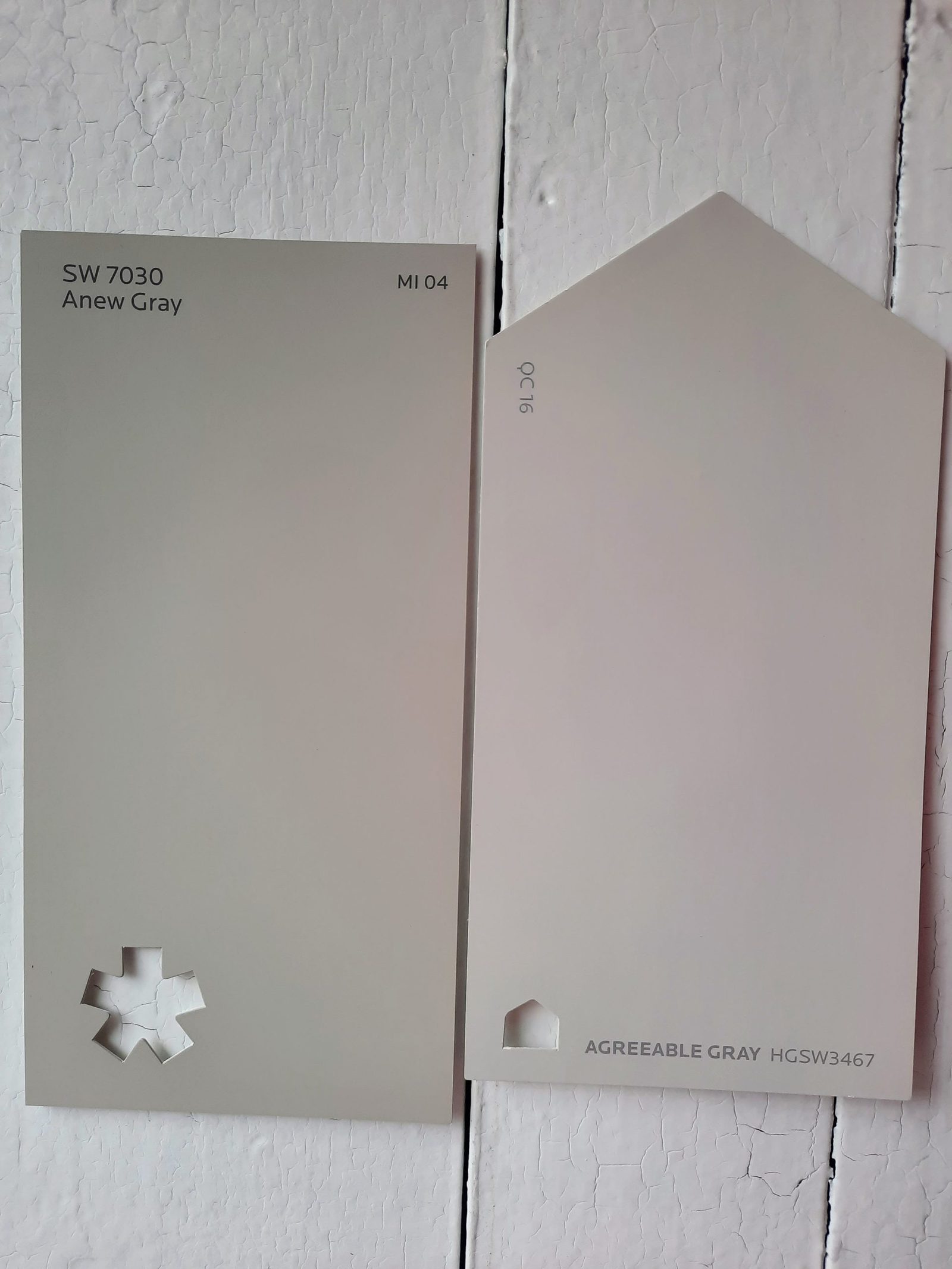 5 Anew Gray vs Agreeable Gray scaled