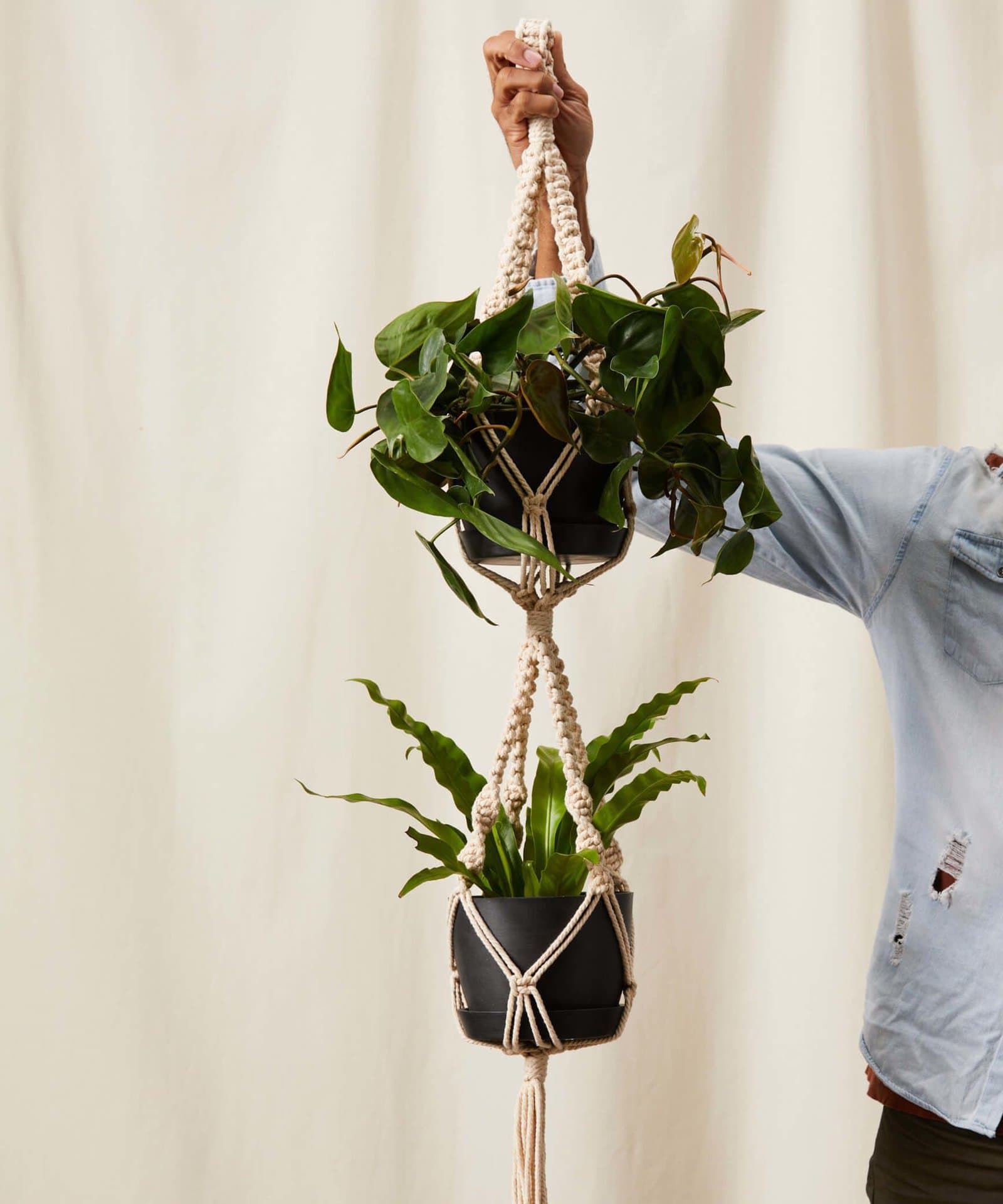 Display Plants with a Macrame Hanger