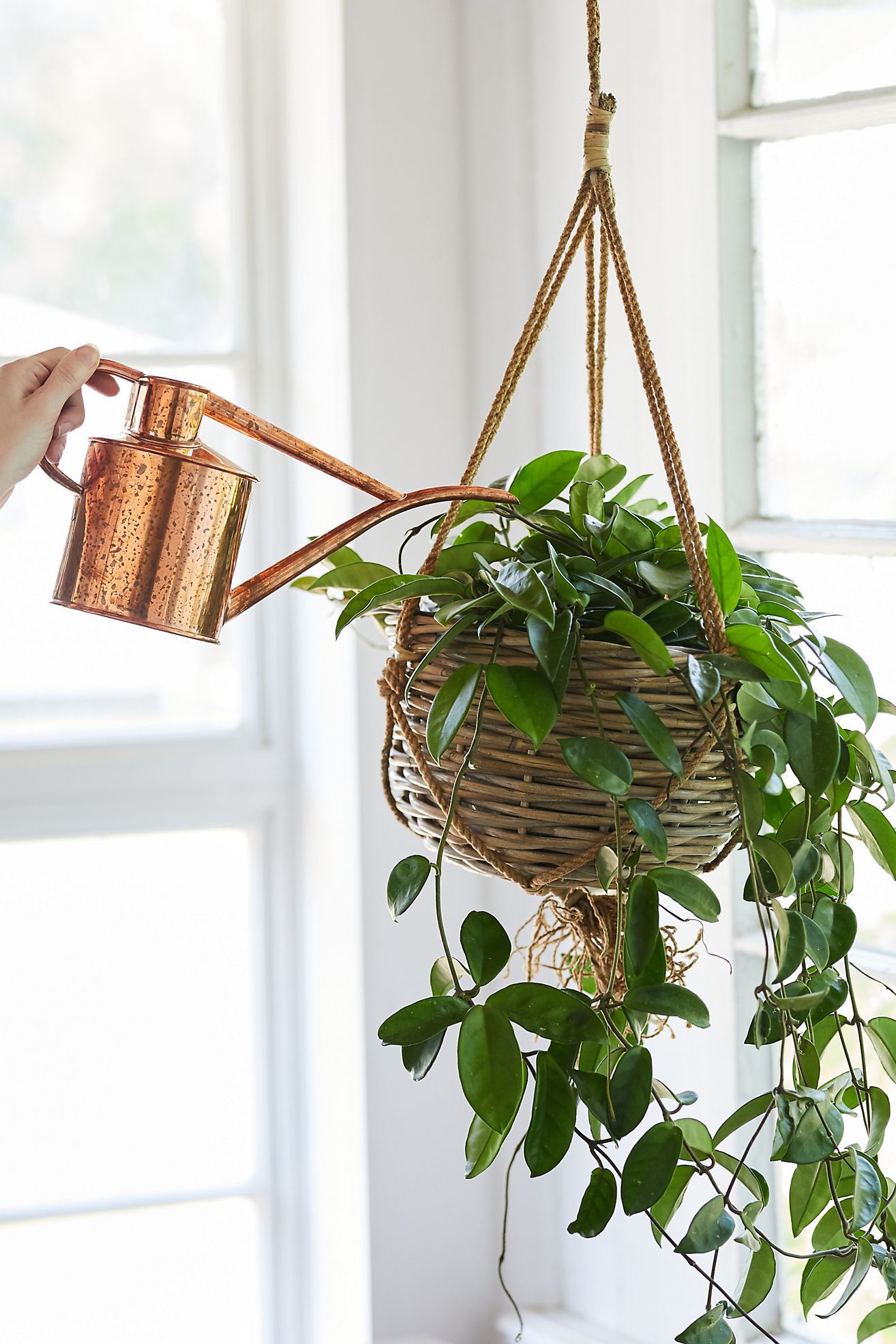 Bring in Texture with a Rattan Hanging Basket
