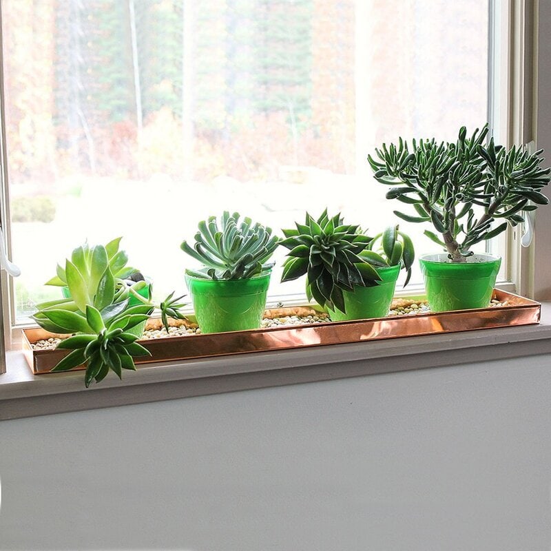 Line Your Window Sill