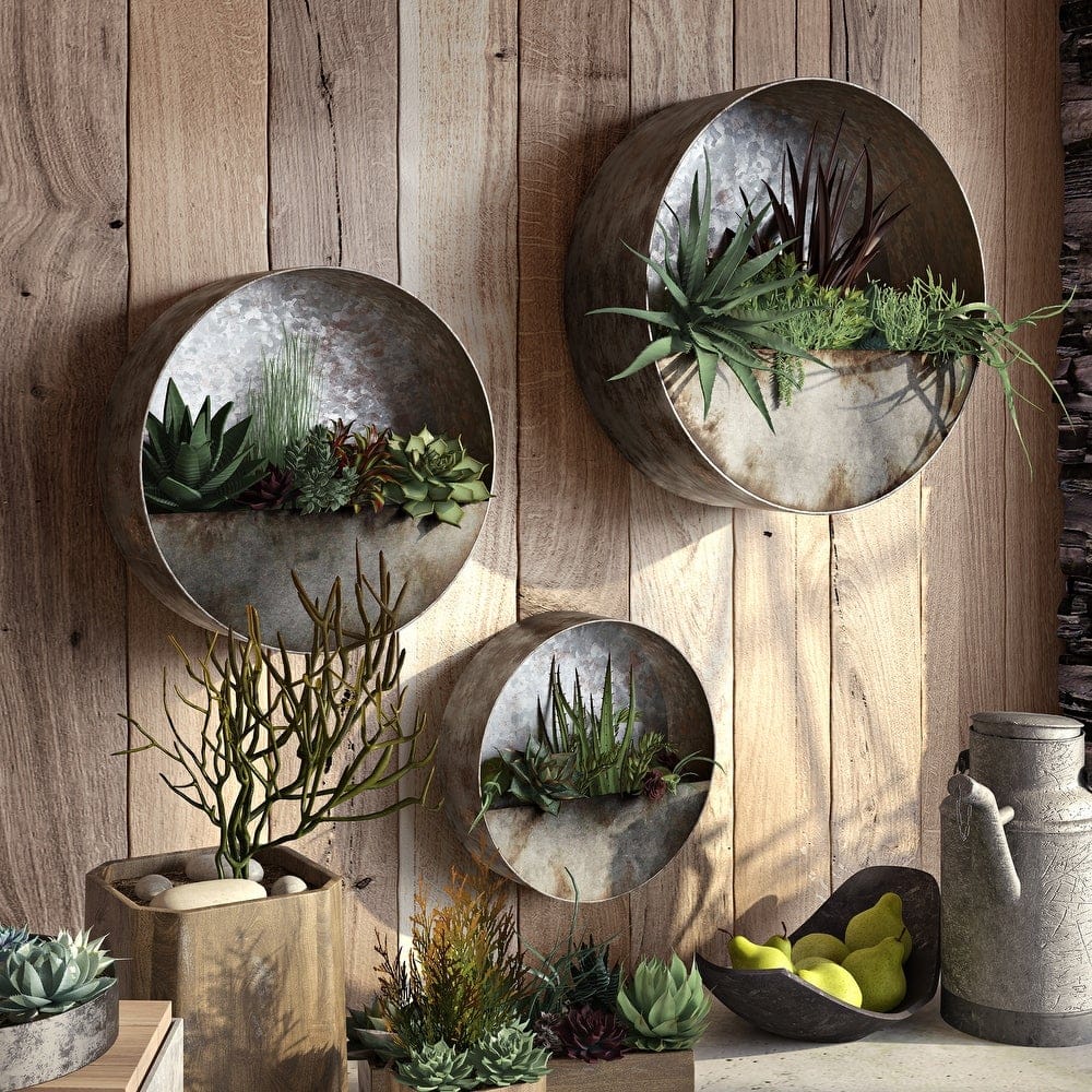 Splurge on Succulents for Seclusion