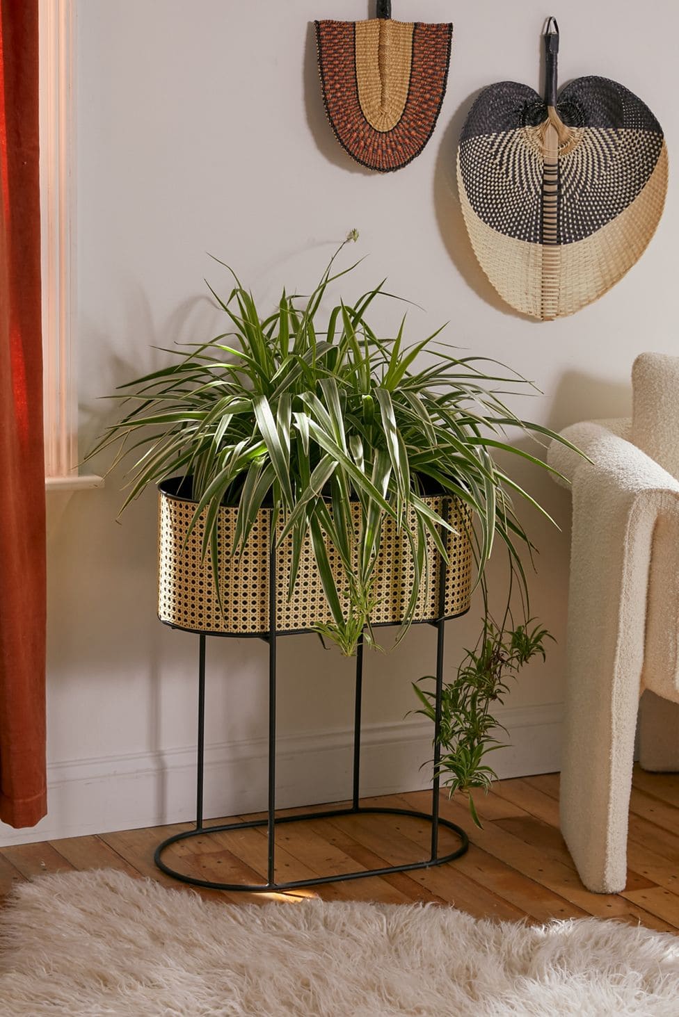 Put Large Plants in a Free Standing Plant Holder