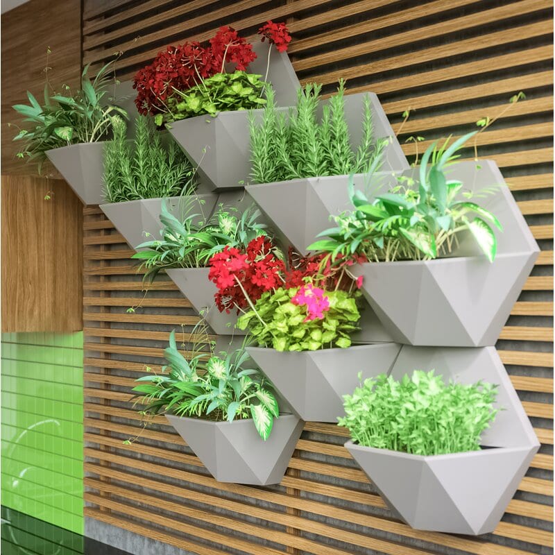 Create a Vertical Wall Garden