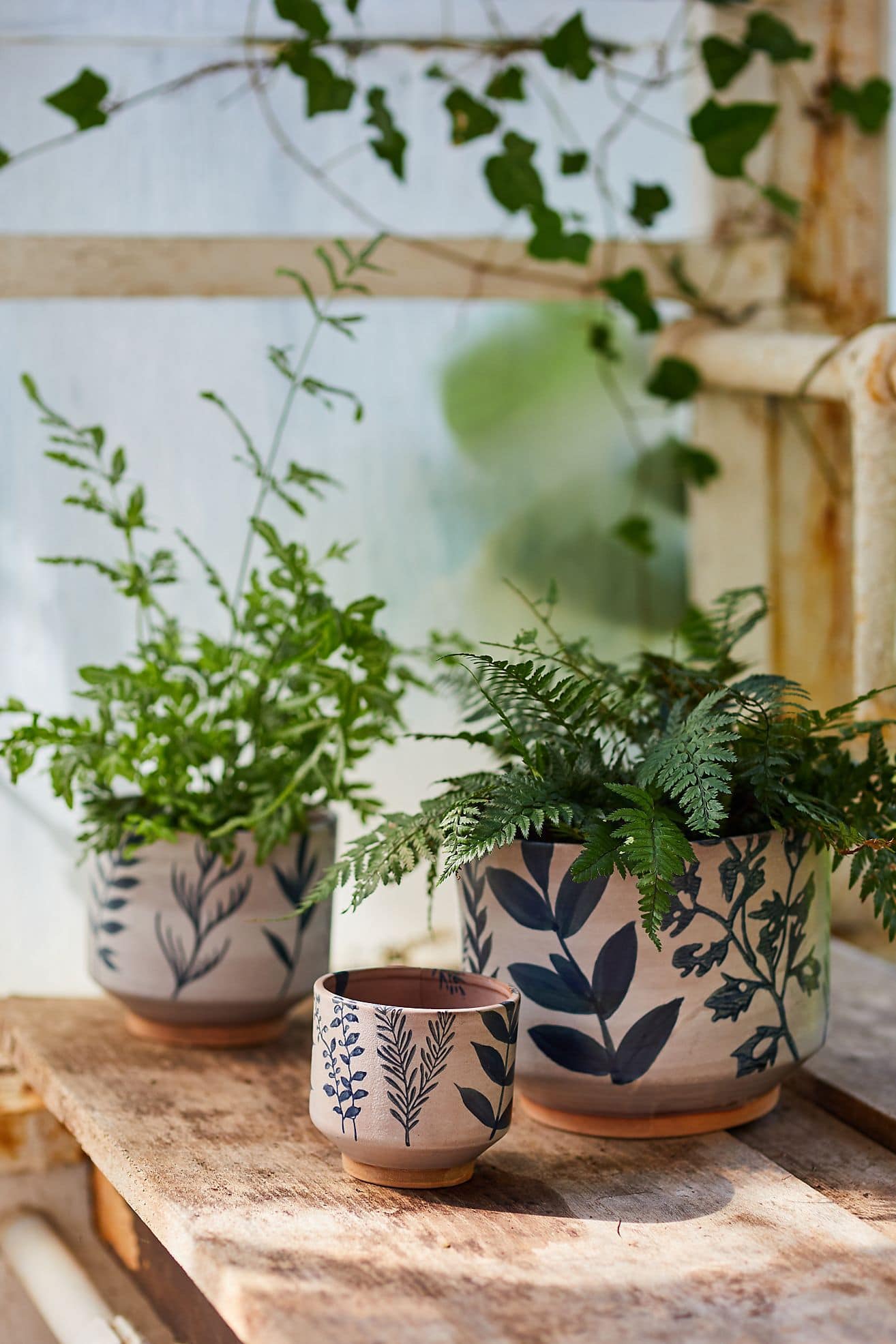 Load Up Your Shelves with Pretty Planters