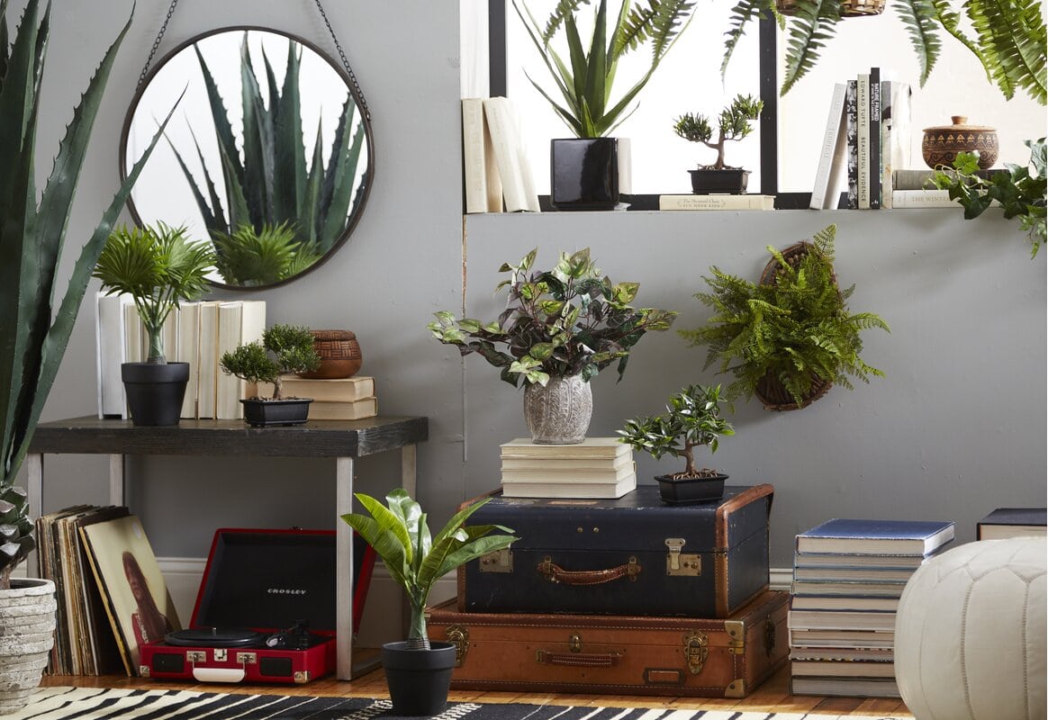 Layer Plants on a Small Table