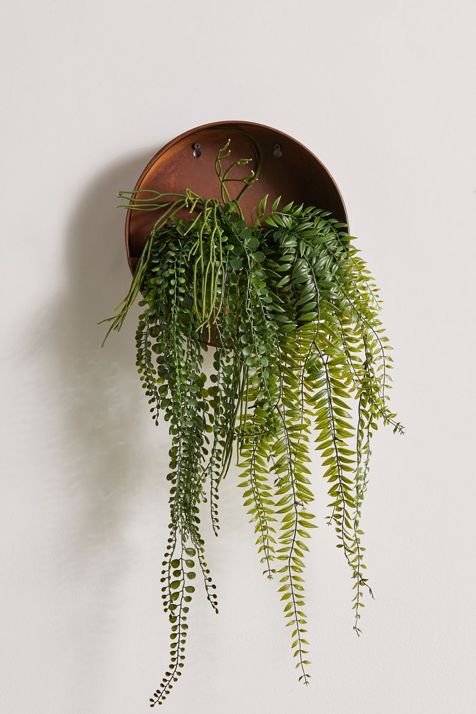 Let Your Ferns Create a Waterfall Effect