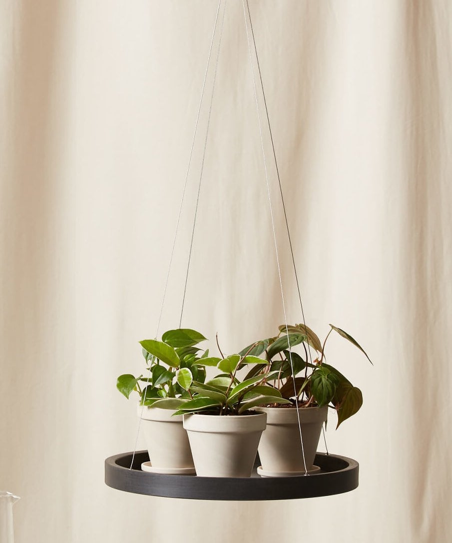 Defy Gravity with a Hanging Saucer