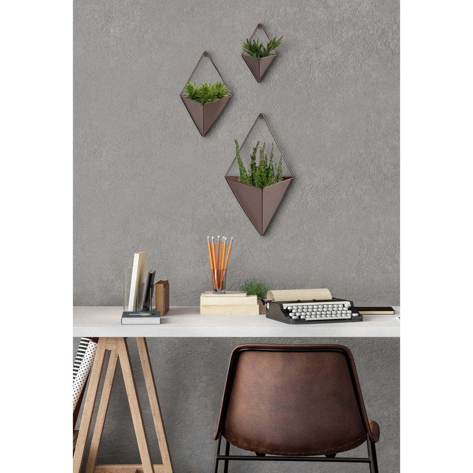 Brighten the Room with Wall Planters