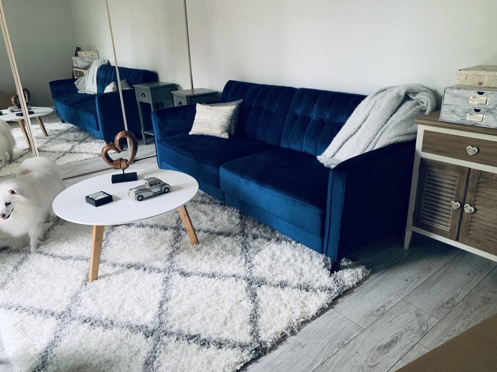 How To Arrange Two Couches in the Living Room? 14 Ideas