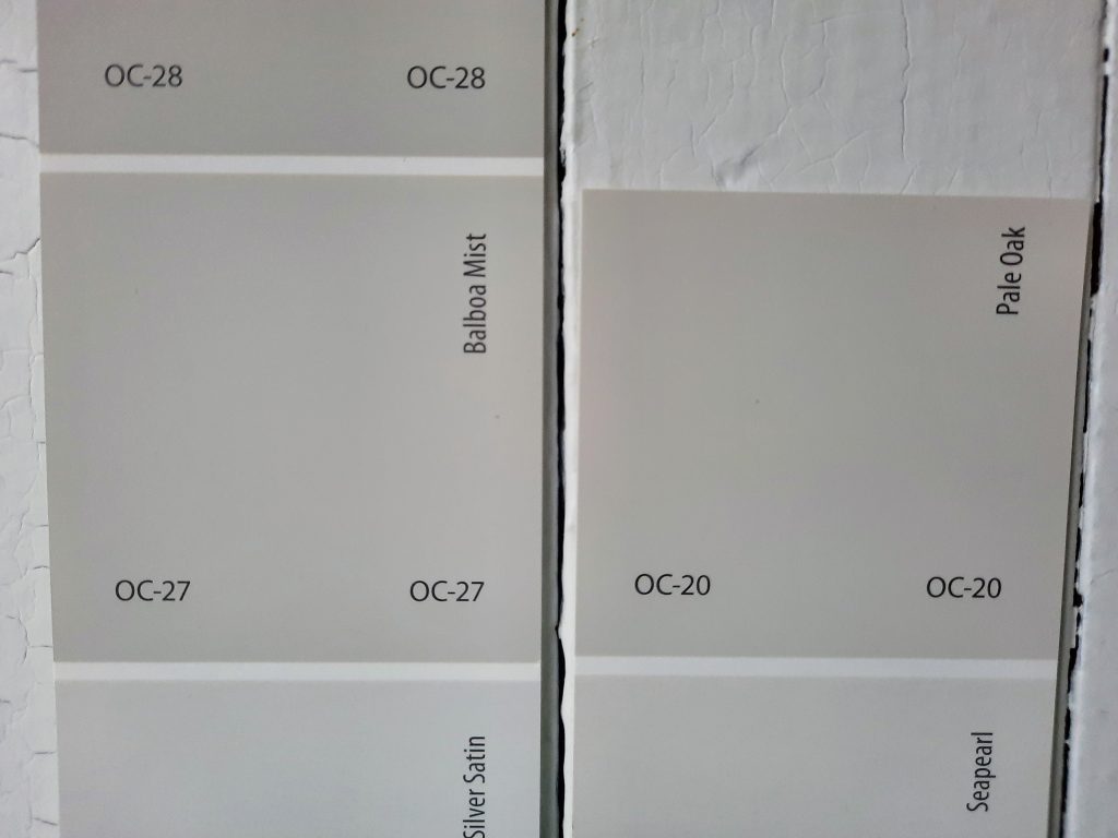 Benjamin Moore Balboa Mist Paint Color Review