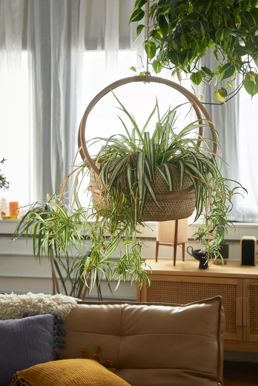 Draw the Eye Up with a Hanging Planter