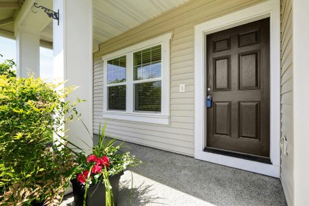 15 Front Door Color Ideas for a Beige House