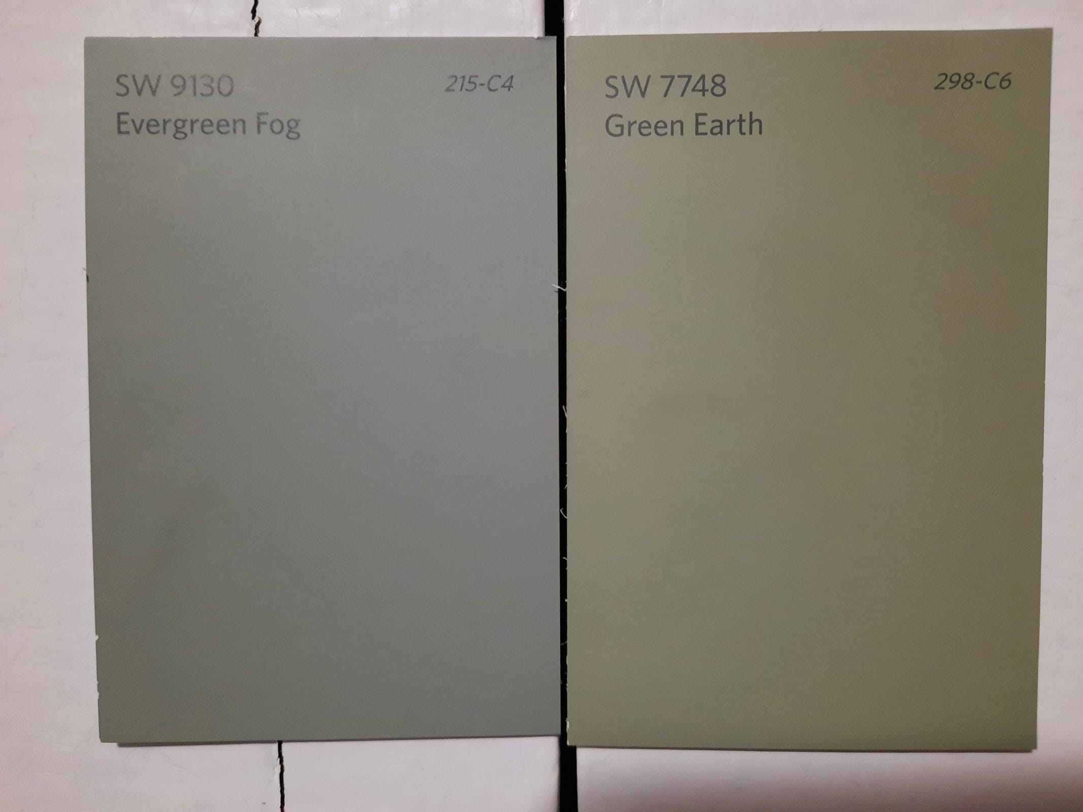 7 Evergreen Fog vs Green Earth scaled