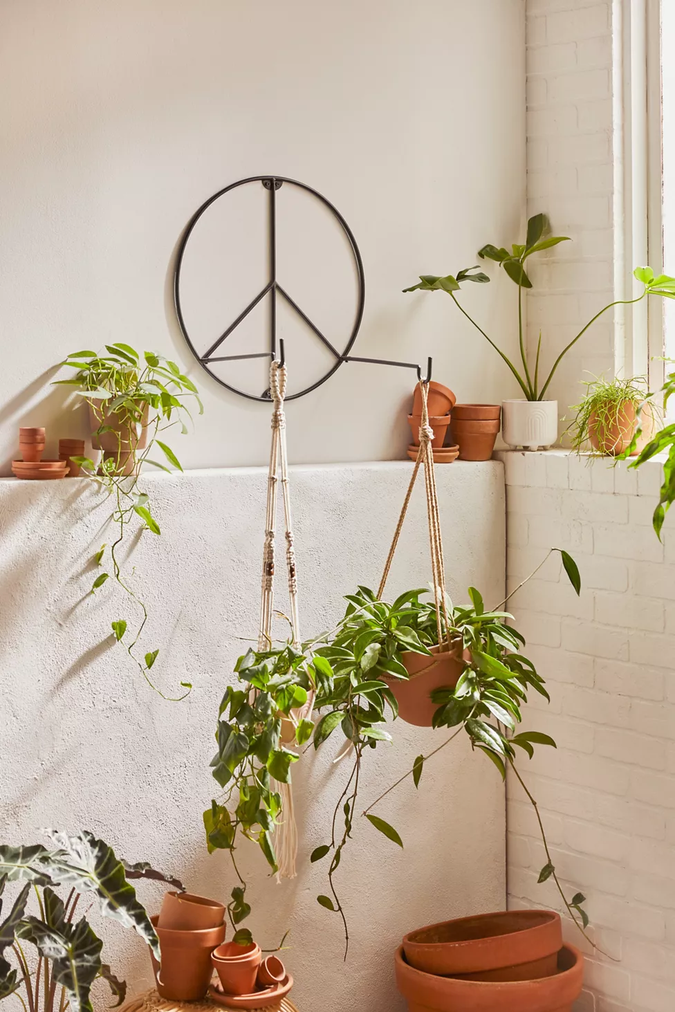 Show Off Your Hanging Baskets with a Plant Hook