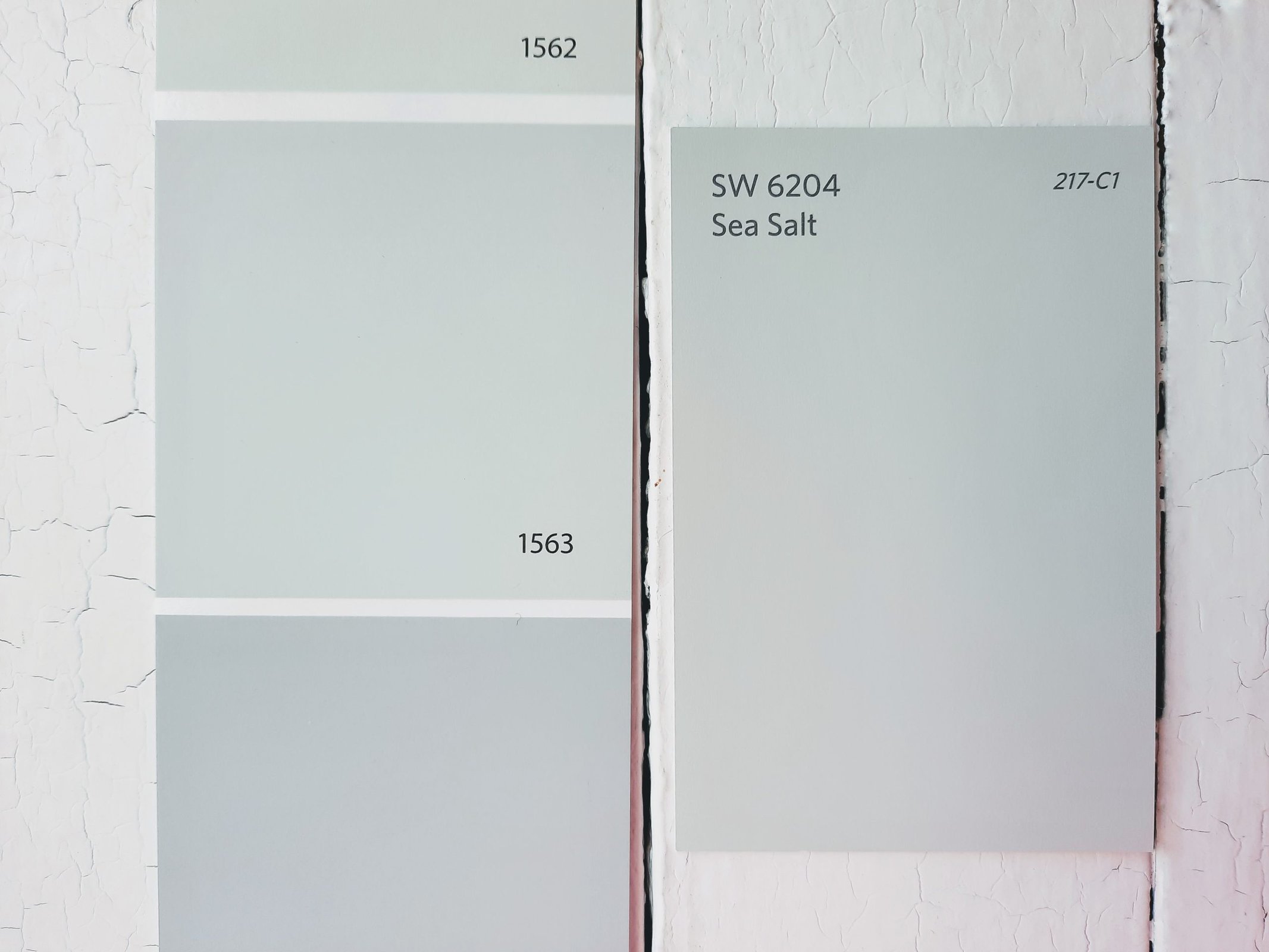 6 Quiet Moments vs Sea Salt by Sherwin Williams scaled