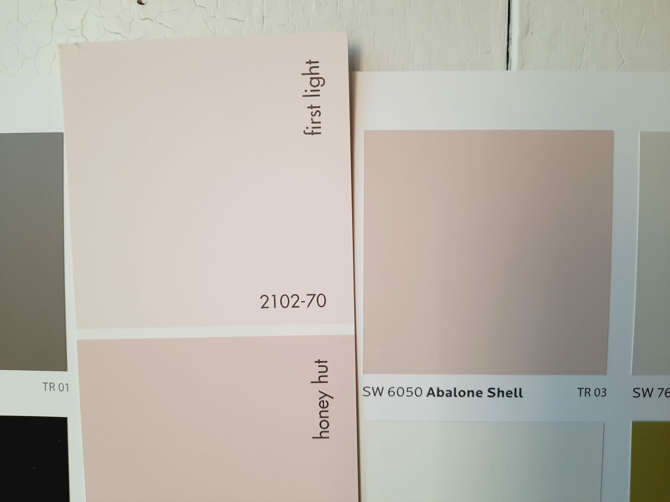 8 First Light vs Abalone Shell by Sherwin Williams scaled