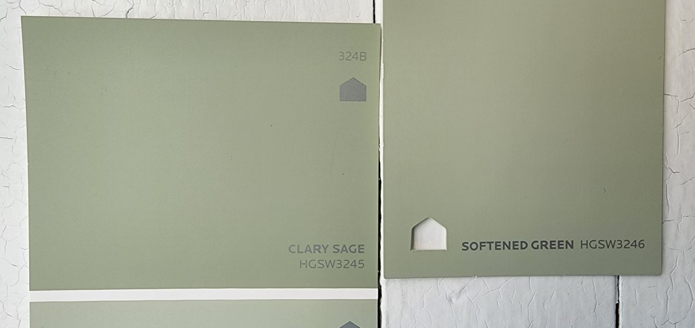 Clary Sage by Sherwin Williams