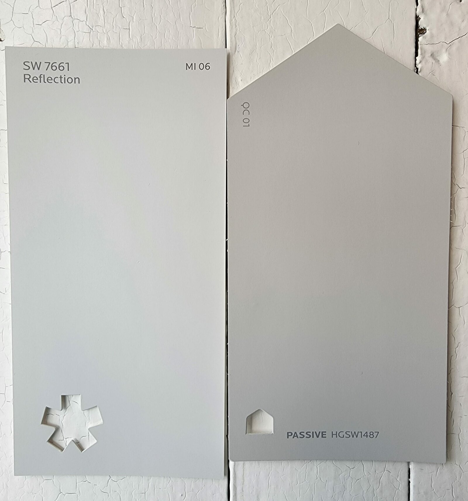  Reflection vs Passive by Sherwin Williams scaled